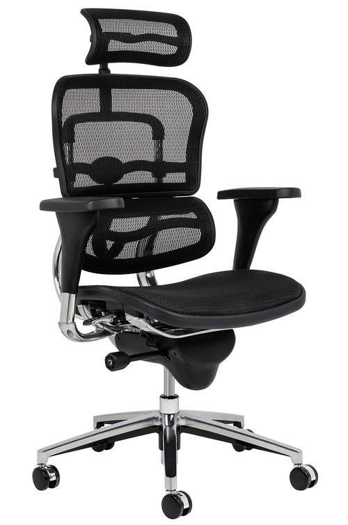 ERGOHUMAN black office chair