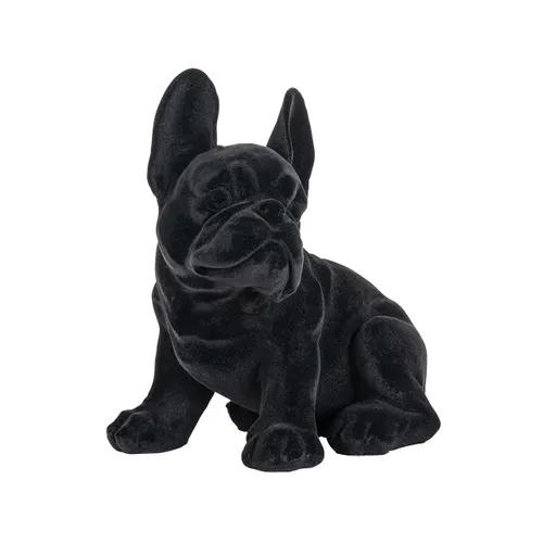 Dog Miro Black